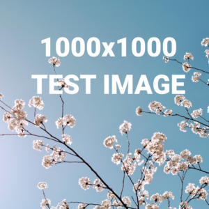 Test Product 3